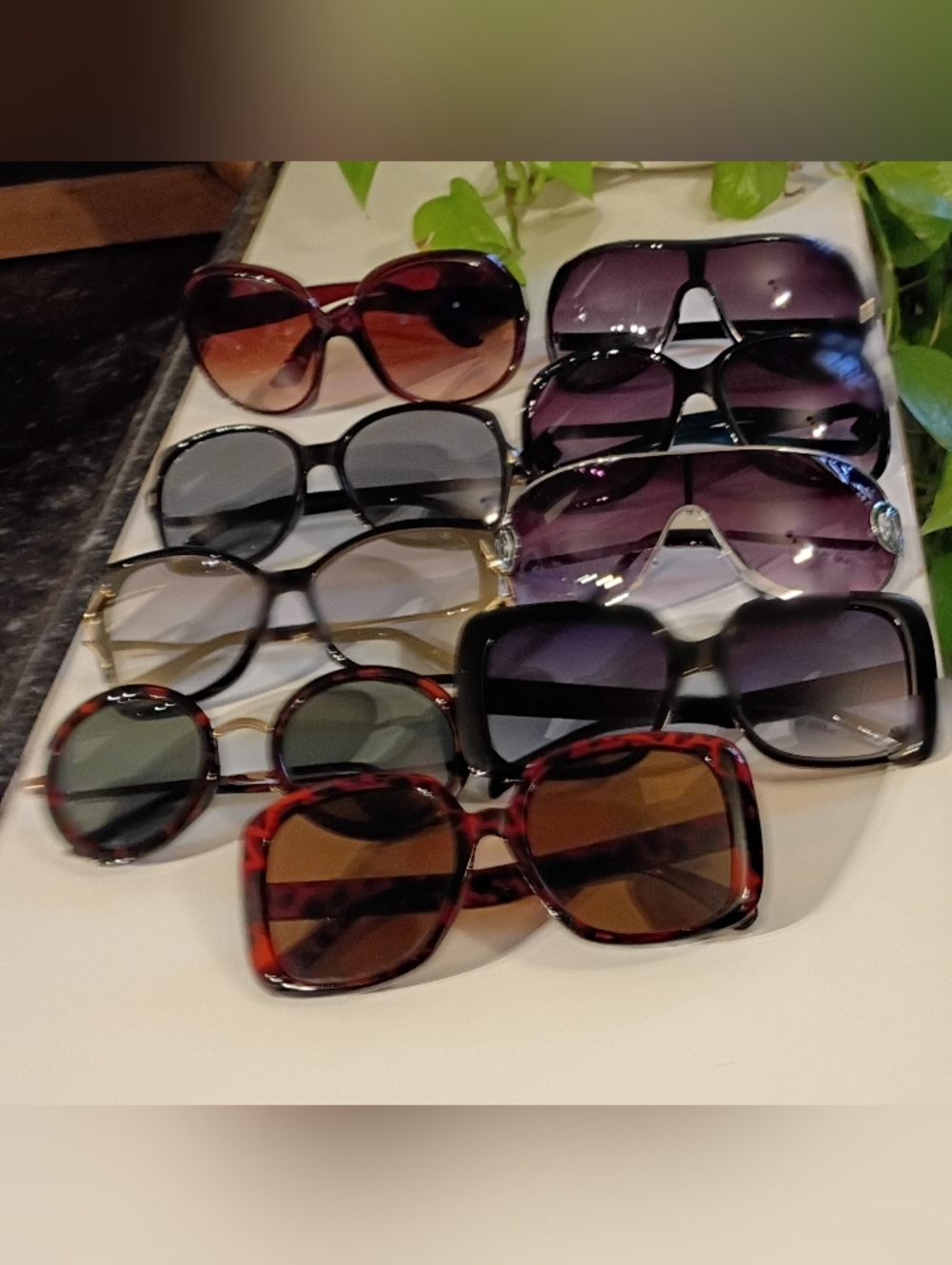 Classic Women’s Sunglasses - Tortoise & Black Frame Options